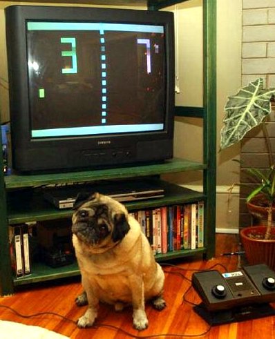 Pong & the Dog Part 2 USA - Ebay Auction (Atari C-140)